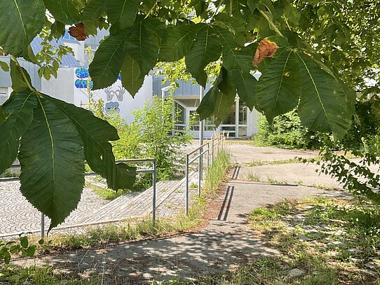 Gartenbild Schlierseestraße 47