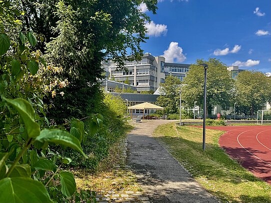 Blick vom Sportplatz auf das Gebäude