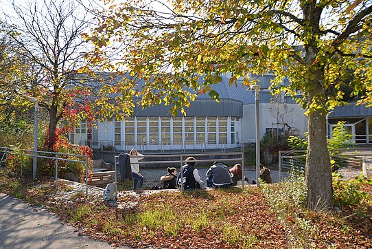 Herbstbild Schulgebäude Rückansicht